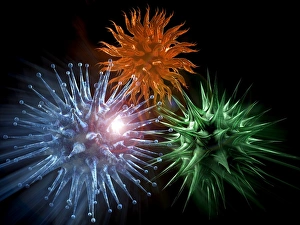 Virology Images Prints: Viruses, computer artwork