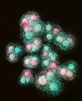 Visualisation of quark structure of carbon Visualisation of quark structure of carbon