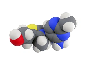 Vitamin B1 Molecule Print