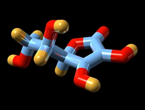 Prints of Vitamin C, molecular model. The chemical formula for vitamin C, also called ascorbic acid, is C6.H8.O6 Images Dated 2008 January: Molecular Model of Ascorbic Acid Print