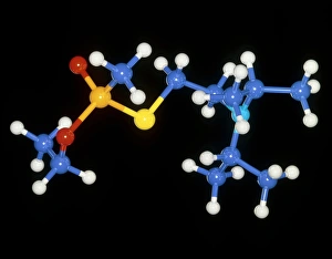 VX nerve gas molecule VX nerve gas molecule