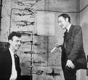 Watson and Crick with their DNA model Watson and Crick with their DNA model