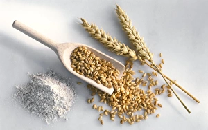 Agricultural Products Images Prints: Wheat C014 / 1133
