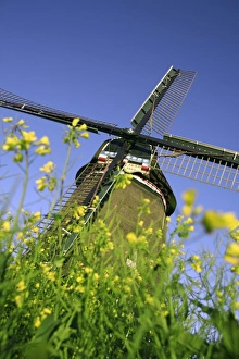 Traditional Dutch Windmill Print