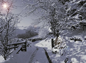 English Countryside In Snow Prints: Winter on Exmoor