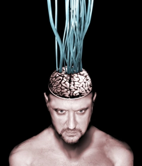 Future Technology Illustration Prints: Wired brain