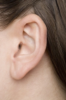 Human Ear Anatomy Prints: Womans ear