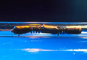 Worlds smallest robot worm in plastic tube Worlds smallest robot worm in plastic tube