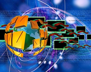 Worm computer virus Worm computer virus