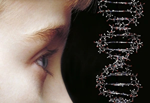Young childs face and DNA molecule Young childs face and DNA molecule