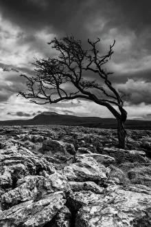 Black light bw gallery/england north yorkshire twisleton scar Black light bw gallery/england north yorkshire twisleton scar