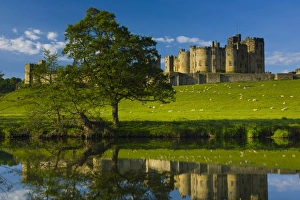 England, Northumberland, Alnwick. Alnwick Castle reflected in the still waters of the River Aln England, Northumberland, Alnwick. Alnwick Castle reflected in the still waters of the River Aln