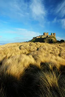 England Northumberland Bamburgh Castle. Sand dunes and vegetation near Bamburgh England Northumberland Bamburgh Castle. Sand dunes and vegetation near Bamburgh