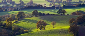 England, Staffordshire / Worcestershire, Kinver Edge. The rolling hills England, Staffordshire / Worcestershire, Kinver Edge. The rolling hills