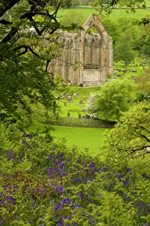 England, Yorkshire, Yorkshire Dales National Park England, Yorkshire, Yorkshire Dales National Park