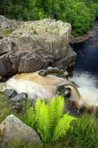 Prints of England, County Durham, High Force. The River Tees cascades down the High Force waterfall in County Durham County Durham Prints: High Force Waterfall Print
