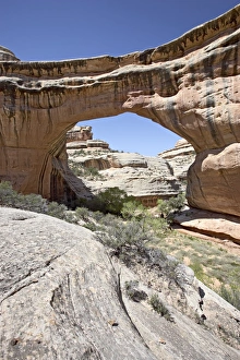 Rugged Rocky Terrain Prints: 27142_work