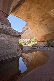 Natural Bridges National Monument Prints: 27144_work