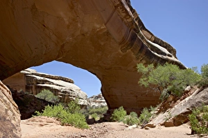 Natural Bridges National Monument Prints: 27146_work