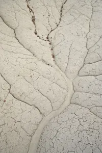 Prints of Erosion patterns in a small drainage, Bisti Wilderness, New Mexico, United States of America, North America Abstract: Erosion Patterns Print, Bisti Wilderness Drainage