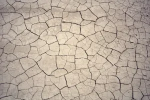 Prints of Patterns in mud cracks in drought area Abstract: Mud Crack Patterns Print