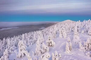 Finland Collection: Aerial view of ice sculptures, Oulanka National Park, Ruka Kuusamo, Lapland, Finland, Europe