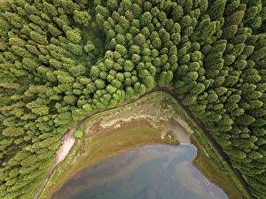 Portugal Collection: Aerial view of Lagoa Empadadas lake and some pine trees, Sao Miguel island, Azores islands