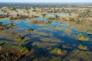 Aerial view of Okavango Delta, Botswana, Africa