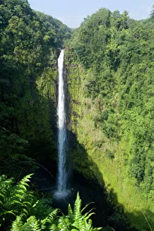 US Travel Destinations Prints: Akaka Falls