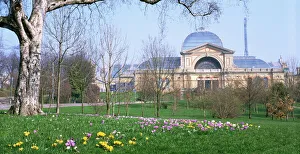 Palace Prints: Alexandra Palace Print