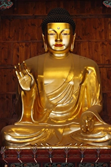 Golden Temple Prints: Amitabha Buddha Print, Jogyesa Temple, Seoul