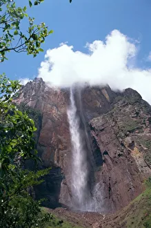 Vertical Landscape Images Prints: Angel Falls