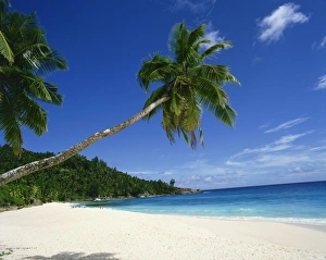 Prints of Anse Intedance, Mahe, Seychelles, Indian Ocean, Africa Seychelles Prints: Anse Intedance Print - Seychelles Beach Scene
