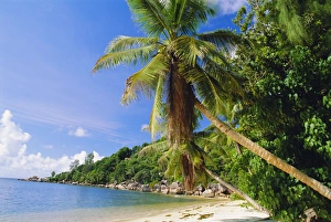Prints of Anse Lazio, Chevalier Bay, Praslin, Seychelles, Indian Ocean Seychelles Prints: Anse Lazio Print - Praslin Beach Scene
