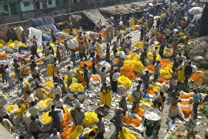 Armenia Ghat flower market, Kolkata (Calcutta), West Bengal, India, Asia Armenia Ghat flower market, Kolkata (Calcutta), West Bengal, India, Asia