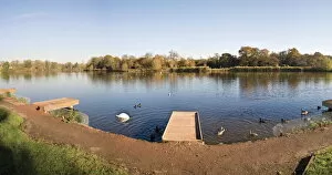 Images Dated 15th November 2015: Arrow Valley Lake Country Park, Redditch, Worcestershire, England, United Kingdom, Europe