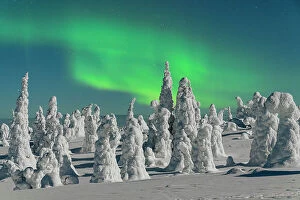 Images Dated 14th November 2022: Aurora borealis over ice sculptures in Finnish Lapland, Riisitunturi National Park, Posio