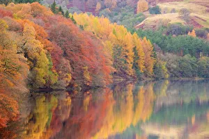 Autumn colour on the banks of the River Tummel near Pitlochry, Scotland Autumn colour on the banks of the River Tummel near Pitlochry, Scotland