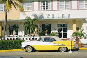 Vintage Automobile Transportation Prints: The Avalon Hotel