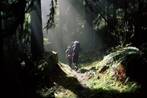 Outdoor Recreation Activities Prints: Backpackers in steamy light