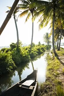 Images Dated 30th December 2015: Backwaters near North Paravoor, Kerala, India, South Asia