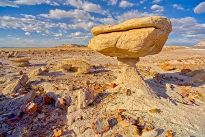 North American Natural Landmarks Prints: Balanced rock that resembles a toadstool, petrified wood scattered around the formation