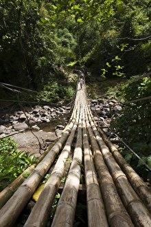 Bamboo bridge at Dark View Falls, St. Vincent and The Grenadines, Windward Islands Bamboo bridge at Dark View Falls, St. Vincent and The Grenadines, Windward Islands