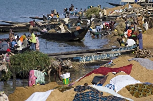 The bank of the River Niger, Segou, Mali, Africa The bank of the River Niger, Segou, Mali, Africa