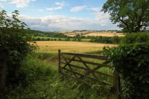 Five Bar Gate Print, Cotswolds Landscape