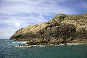 Wales Coastline Photography Prints: Basalt columns on cliffs in spring sunshine, Pembrokeshire National Park