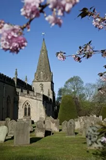 Images Dated 12th May 2012: Baslow Parish Church and spring cherry blossom, Derbyshire, England, United Kingdom, Europe
