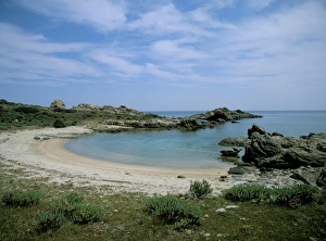 Italian Seaside Towns Prints: Bay on the coast