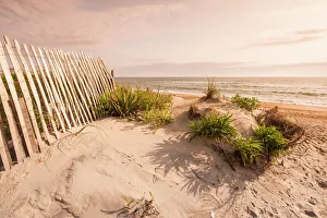 Beach near Kitty Hawk, Outer Banks, North Carolina, United States of America, North Beach near Kitty Hawk, Outer Banks, North Carolina, United States of America, North