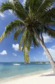 Images Dated 30th April 2014: Beach scene with palm trees, blue sky and boats moored on the Indian Ocean at Trou D eu Douce